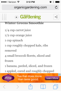 Winter Greens Recipe